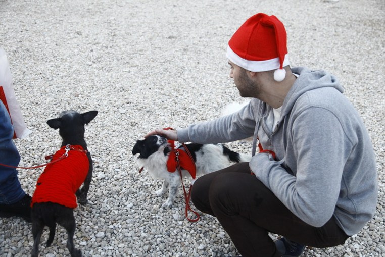 Fun Walk With Santa